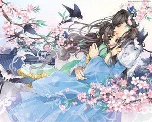向日葵草莓绿巨人